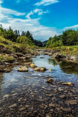 Nehirdeki güzel şelale.
