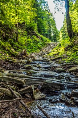 Nehir ve dağlarla dolu güzel bir manzara