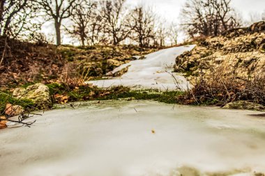 Ormanda güzel bir şelale