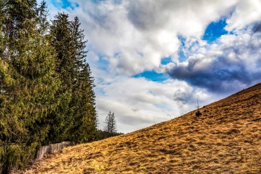 Orman ve dağlarla dolu güzel sonbahar manzarası