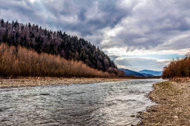 Ormandaki nehrin güzel bir görüntüsü