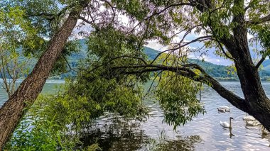 Güzel göl manzarası