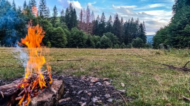 Bir yaz akşamında ormanda şenlik ateşi