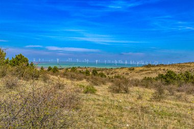 Doğanın güzel manzarası