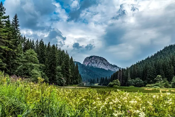 Karpat Dağları 'ndaki küçük bir dağ sırasının güzel manzarası