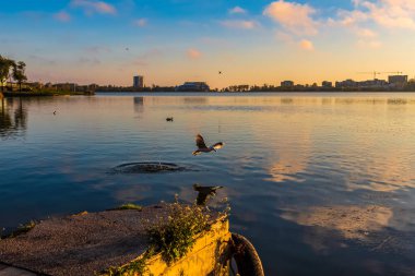 Denizin üzerinde güzel bir gün batımı