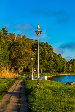 Parkın güzel şehir manzarası