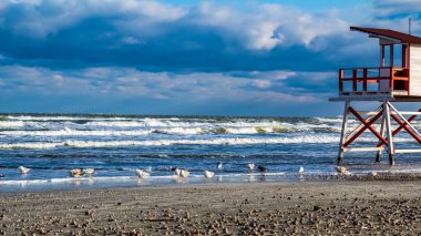 Denizin olduğu güzel sahil.