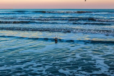 Kumsalda sırt çantalı bir adam.