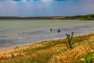 Göl ve göl manzarası