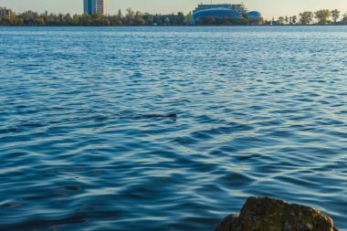 Şehirde mavi gökyüzü olan güzel bir göl.