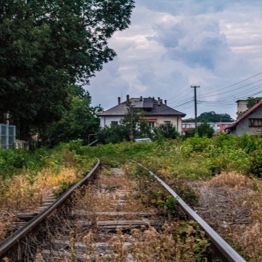 Ormanda demiryolu rayları