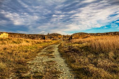 Güzel bir manzara Ağacı ve mavi gökyüzü