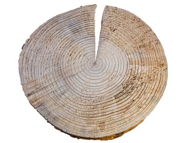 Ahşap doku, ahşap zemin