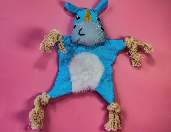 Küçük sevimli bir oyuncak ayı.