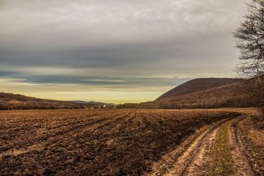 Sonbaharda, arka planda bulutlu bir gökyüzü olan kırsal bir bölgede toprak bir yol..
