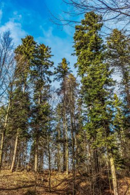 Doğanın güzel manzarası