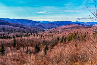 Dağları ve ağaçları olan güzel bir manzara.