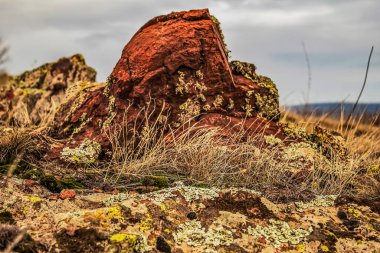 Bir kayanın üzerinde taş