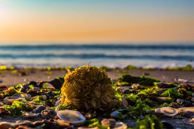 bir yaz gününde deniz kıyısı