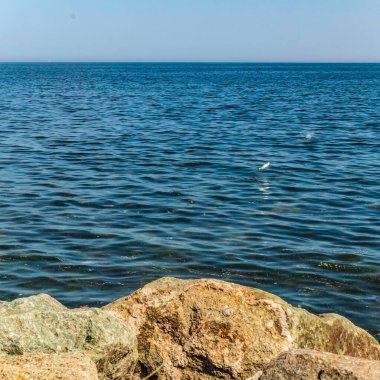 Yazın deniz kıyısında