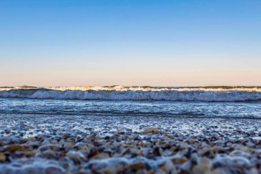 Baltık Denizi sahilinde beyaz kum