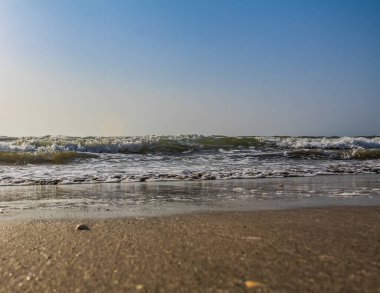 Sahilde deniz dalgası