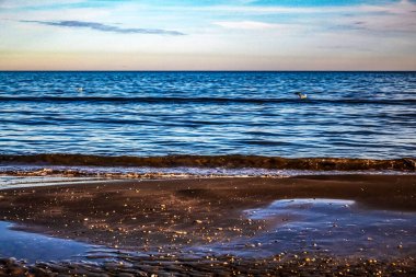 Sahildeki deniz dalgaları