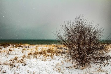 Kışın donmuş bir nehir.