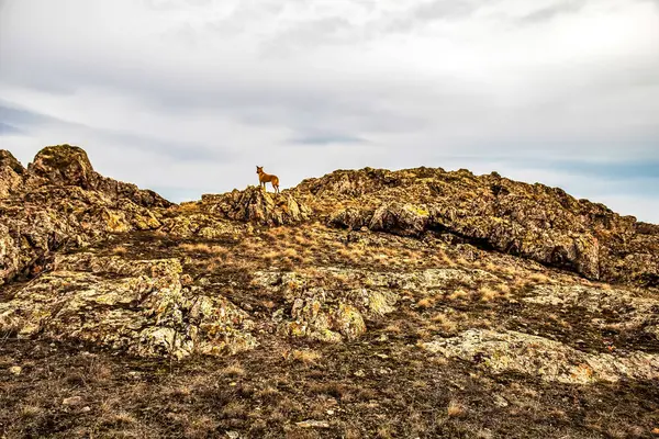 Doğanın güzel manzarası