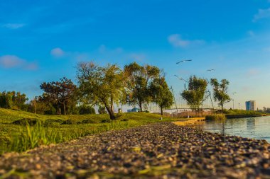 Ağaçlar ve bir köprü ile gölün kıyısından manzara