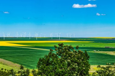 Buğday tarlasının ortasındaki yel değirmenlerinin havadan görünüşü.