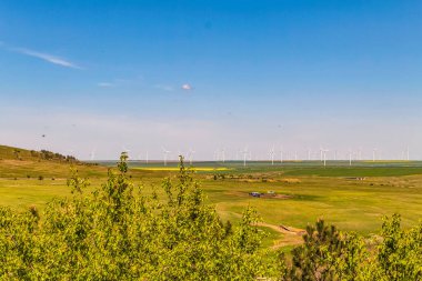 Yeşil otların arka planında rüzgar türbinleri