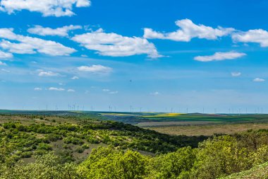 Bir tarlası ve mavi gökyüzü olan güzel bir manzara.