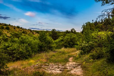 Ormanda bulutlu bir gökyüzü olan güzel bir yolun dikey görüntüsü.