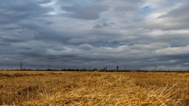 Buğday tarlası ve bulutlu gökyüzü olan güzel bir manzara.