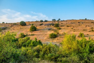 Güzel bir manzara Ağacı ve mavi gökyüzü