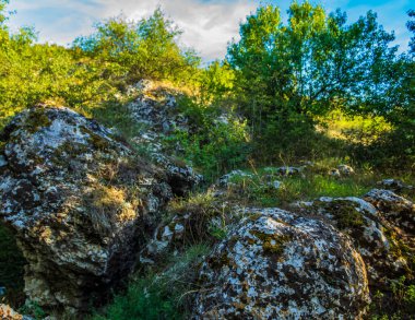Doğanın güzel manzarası
