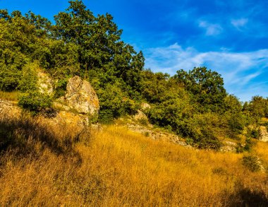 Sarı yapraklı sonbahar manzarası, mavi gökyüzü, ormandaki ağaçlar, sonbahar manzarası