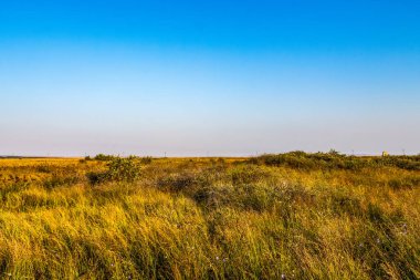 Orman, Karpatlar, Doğa Fotoğrafları - Avrupa, Doğu Avrupa, Romanya 