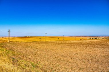 Buğday tarlası ve mavi gökyüzü olan güzel bir manzara.