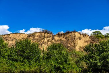 Dağlarda büyük bir ağacı olan güzel bir manzara.