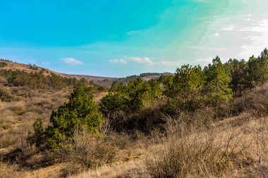 Mavi gökyüzü olan güzel bir dağ ormanı görüntüsü.