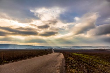 Sonbaharda tarlalarda ve bulutlarda yol..