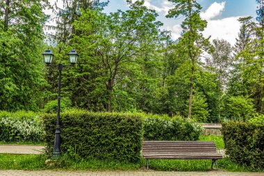 Yaz mevsiminde ağaçlar ve çalılarla parktaki bank