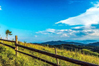 Dağların ve mavi gökyüzünün arka planında yeşil çayır.