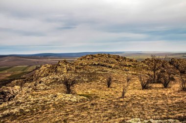 Dağlardaki bir ormanda kayanın dikey görüntüsü.