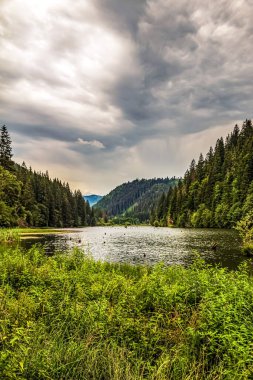Dağın ortasında yeşil ormanı olan bir göl.