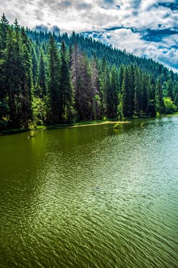 Ağaçlarla çevrili güzel bir göl görüntüsü.