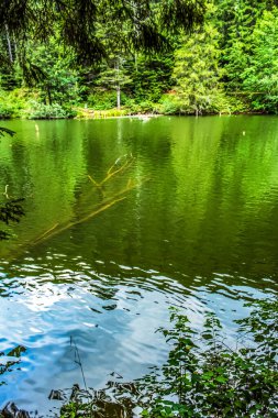Güzel göl manzarası